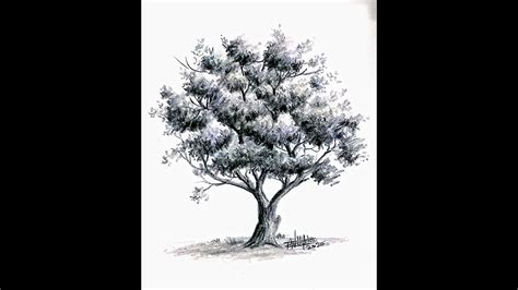 HOW TO SHADE TREE WITH PENCIL - YouTube