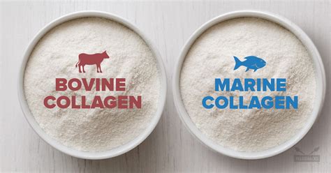 Bovine Collagen vs. Marine Collagen: The Difference and Useful Tips