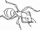 Ant Coloring Pages  ColoringBay sketch template