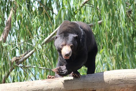 Canberra National Zoo Aquarium