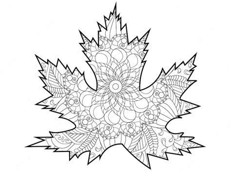 Premium Vector | Leaf of a tree maple Coloring page Colorless and color samples for adult ...