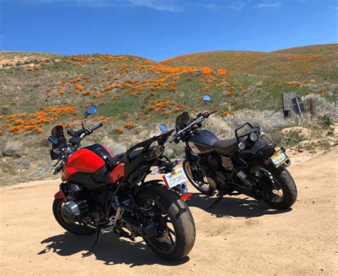 Poppy fields of Antelope Valley - Los Angeles Motorcycle guided tours ...