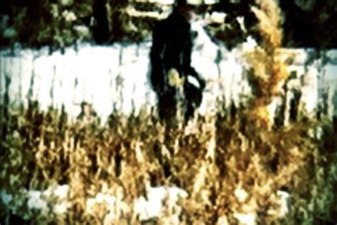 BLOG: 14 Bizarre Photos Reportedly Taken Near Skinwalker Ranch — The Confessionals