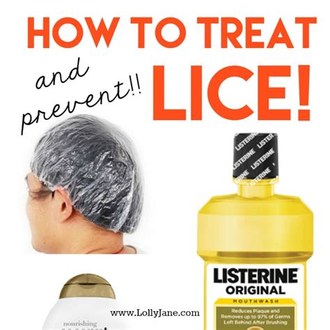 How to treat and prevent lice