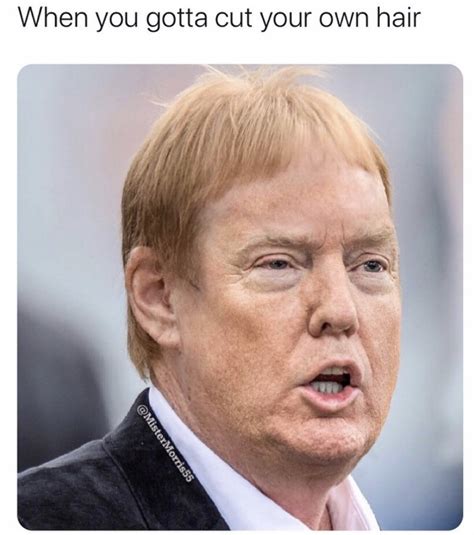 When You Gotta Cut Your Own Hair Donald Trump Mark Davis Meme - Shut Up And Take My Money