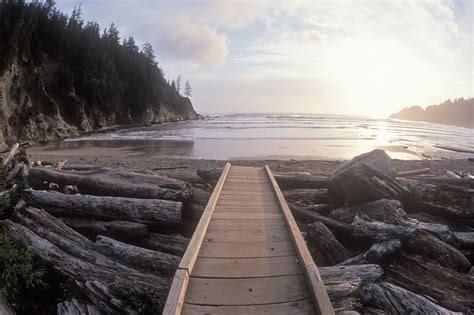 4 of the Best Cannon Beach Hiking Trails | CBVR