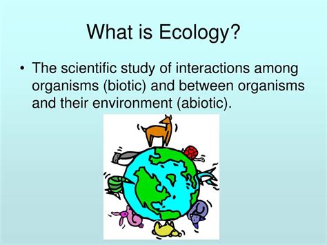 PPT - What is Ecology? PowerPoint Presentation, free download - ID:6702216