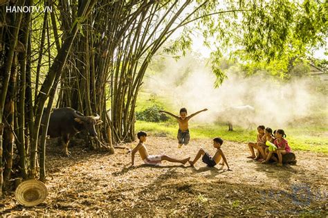 Tả lại cây tre ở làng quê em - Sách Giải