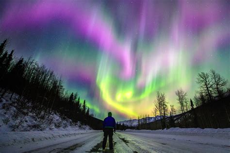 Aurora Northern Lights Alaska | Shelly Lighting