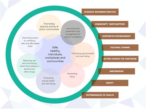 Nursing Conceptual Framework | Conceptual framework, Advanced practice nurse, Medical practice