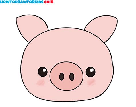 Pig Face Sketch