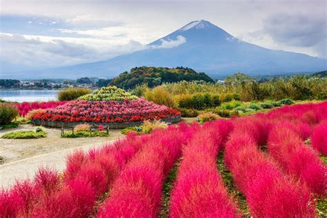 Planning a Tokyo to Mount Fuji day trip: All you need to know | Japan ...