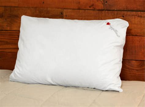 I Love My Pillow Down and Memory Foam Pillow – thebedroomstore.com