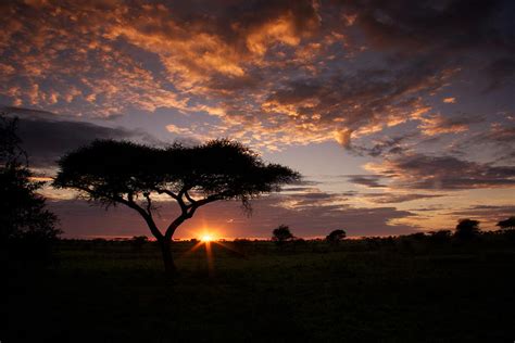 Serengeti Sunrise Photograph by Michael Underhill - Fine Art America