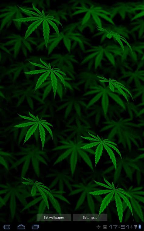 My Ganja Live Wallpaper – Apps para Android no Google Play