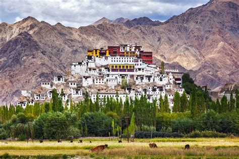 Ladakh Images – Browse 49,737 Stock Photos, Vectors, and Video | Adobe ...