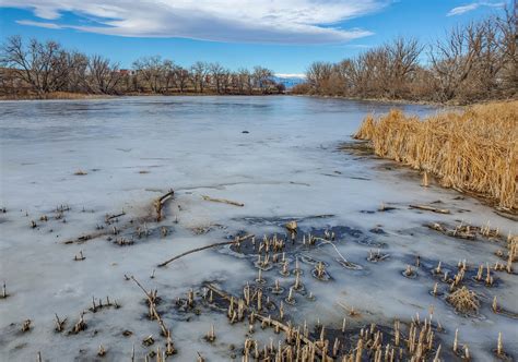 Nice nature walk in Aurora CO – Bluff Lake Park - Explore Constantly