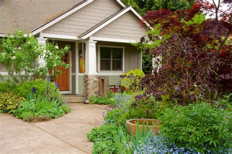 Eco-Friendly Lawn & Grass Alternatives | Garden Design