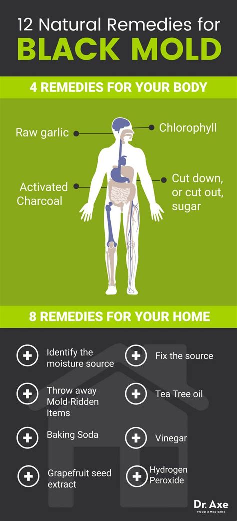 8 Signs You Need a Black Mold Detox | Black mold symptoms, Mold exposure, Cold home remedies