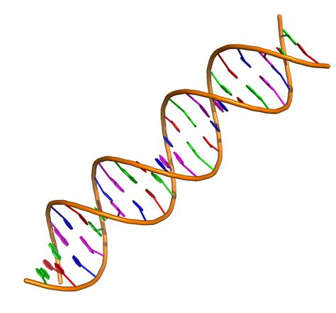 Reading Exercise: The Structure of DNA – A tang of science