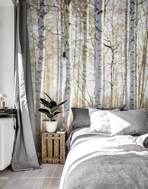 One of the best places to install a forest mural - behind the bed! Birch Forest in Dalarna ...