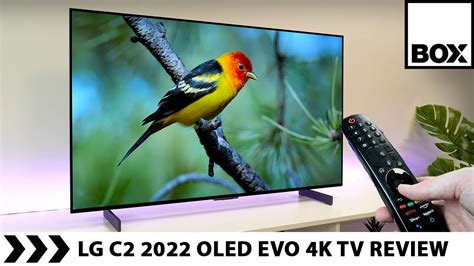 LG C2 OLED Evo 2022 Review & C1 Comparison | 42" 4K Display - YouTube