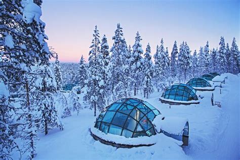 Outdoor activities, with experienced guides, comfortable private igloos with top class food ...