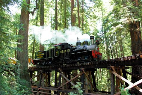 Train trip in a California rain forest