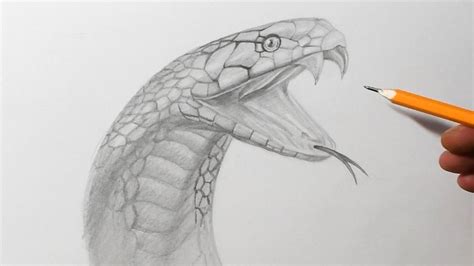 How to Draw a Snake || Pencil Drawing Tutorial - YouTube