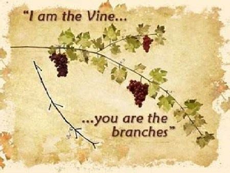 JESUS IN SCRIPTURE I AM THE VINE YOU ARE THE BRANCHES