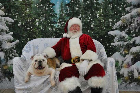 Come see Santa Paws!