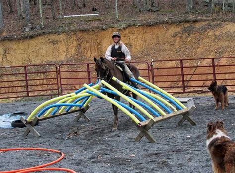 Great obstacle idea! | Horse camp, Horse exercises, Horse training