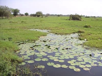 Machar Marshes Eco-Hydrology Assessment Project – HYDROC