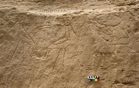 Hieroglyphics found at El-Khawy in Egypt show two storks, back to back, with an ibis between ...