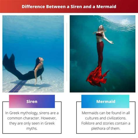 Siren vs Mermaid: Difference and Comparison