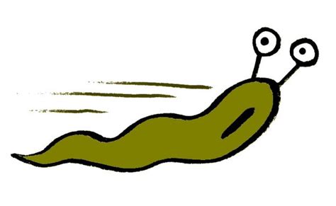 Slug clipart 20 free Cliparts | Download images on Clipground 2024