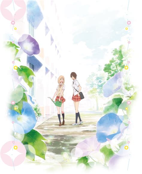 Kase-san Anime Adaptation is Green-Lit! – The Lily Cat