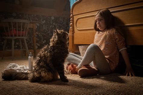 Movie Review: 'Pet Sematary' Remake is Creepy Good Time - reviewstl