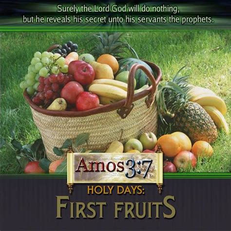 The Feast Of First Fruits | Religions Facts