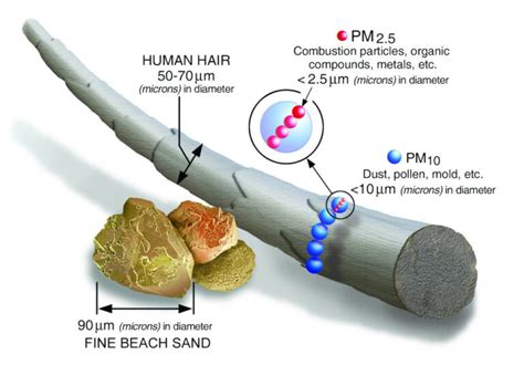 The Fight Against Deadly Soot • The Revelator