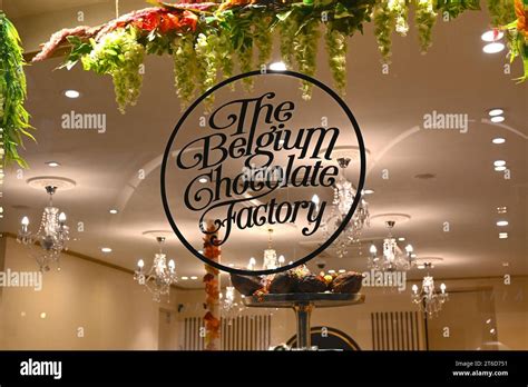 The Belgium Chocolate Factory sign on a window – Brussels Belgium Stock Photo - Alamy