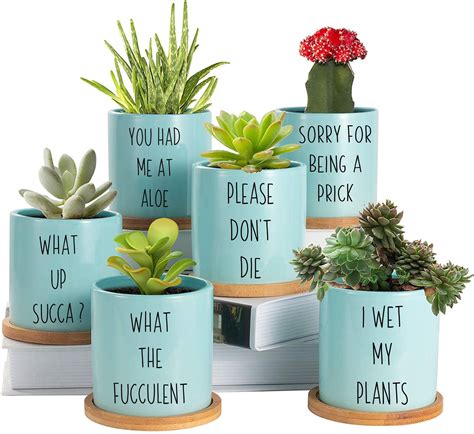 Plant humor, I wet my plants, Succulent plants, Decal download SVG, Instant download, Potted ...