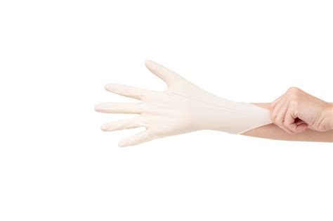 Latex Powder Free Gloves (Multipurpose), 1,000 Gloves — Gloves.com