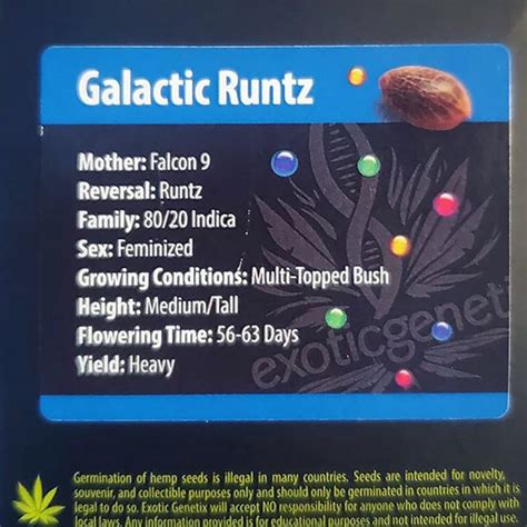 Feminized Seeds: Galactic Runtz