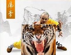 Learn Kung fu and chinese Martial Arts Training Techniques : Learn ...