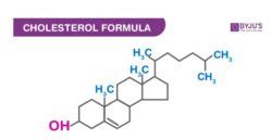 Cholesterol Formula - Structure And Properties Of Cholesterol