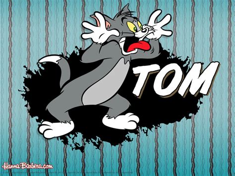 Tom Wallpaper - Tom and Jerry Wallpaper (3740193) - Fanpop