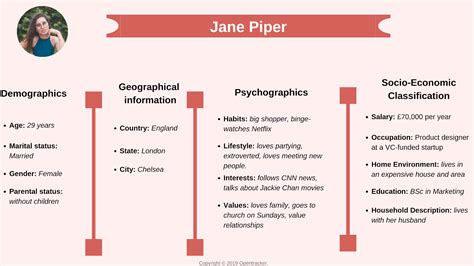 Demographic Profile Demographic Questionnaire Template | Master Template