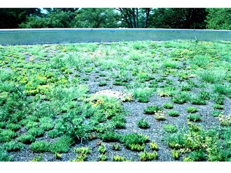 Geisinger Medical Center - Greenroofs.com