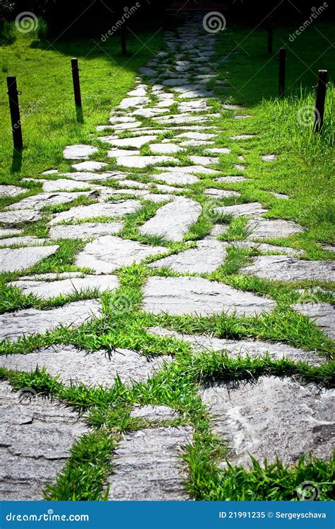 Stone Road and Green Grass in Summer Garden Stock Image - Image of path, green: 21991235